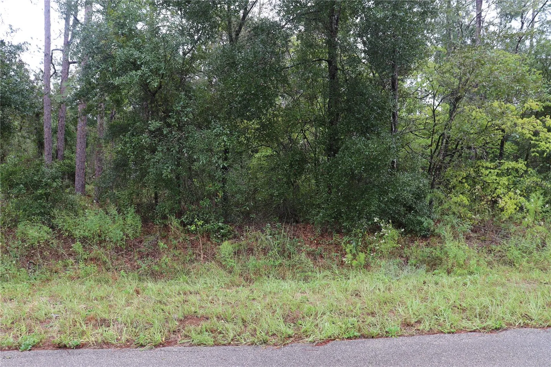 00 NW Beuna Vista Road Dunnellon FL 34431