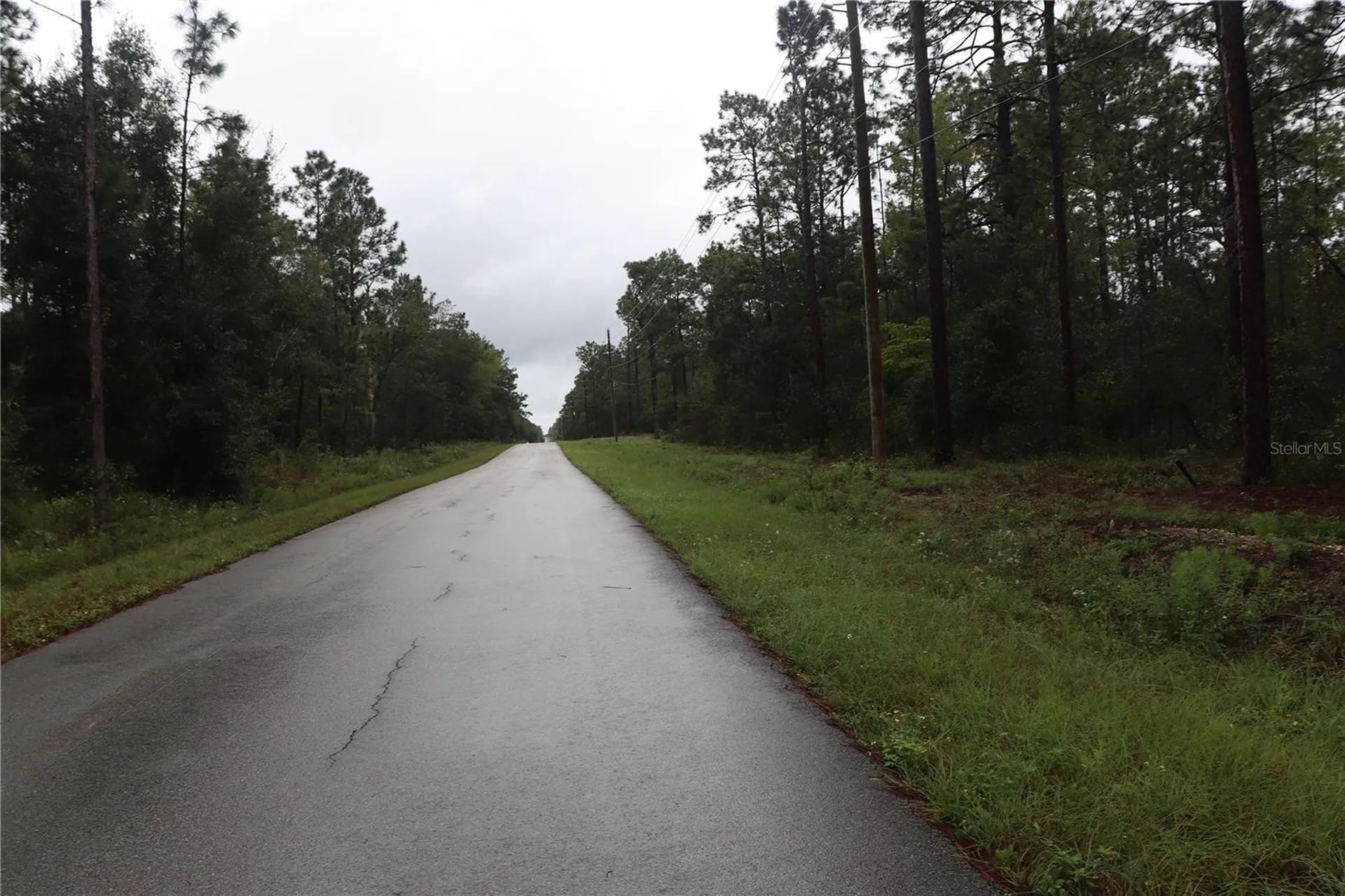 00 NW Beuna Vista Road Dunnellon FL 34431