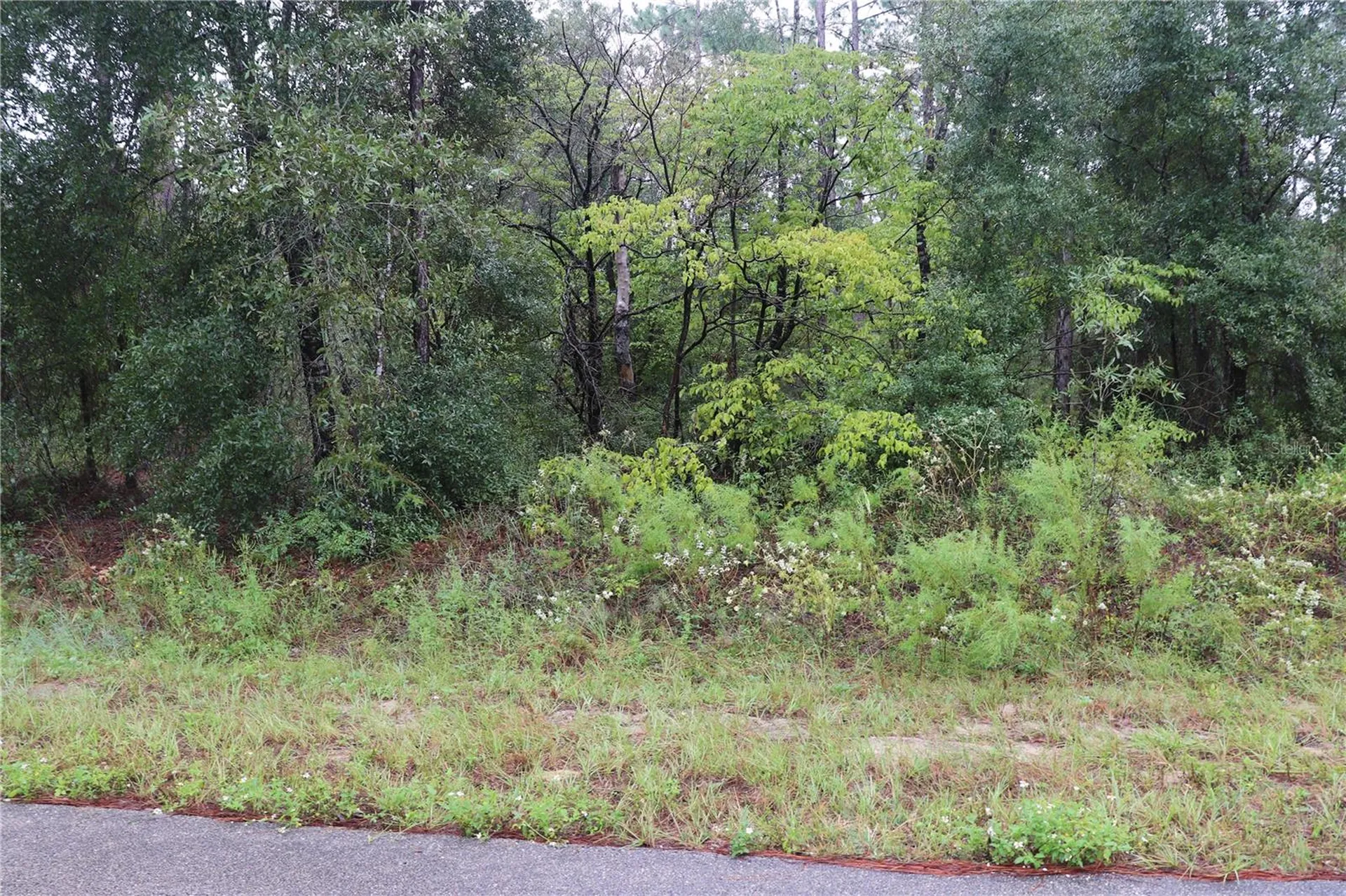 00 NW Beuna Vista Road Dunnellon FL 34431