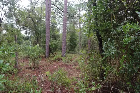 00 NW Beuna Vista Road Dunnellon FL 34431