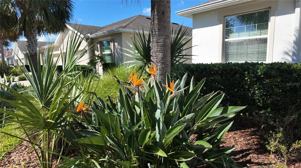 7690 Timberview Loop Wesley Chapel FL 33545