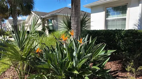7690 Timberview Loop Wesley Chapel FL 33545