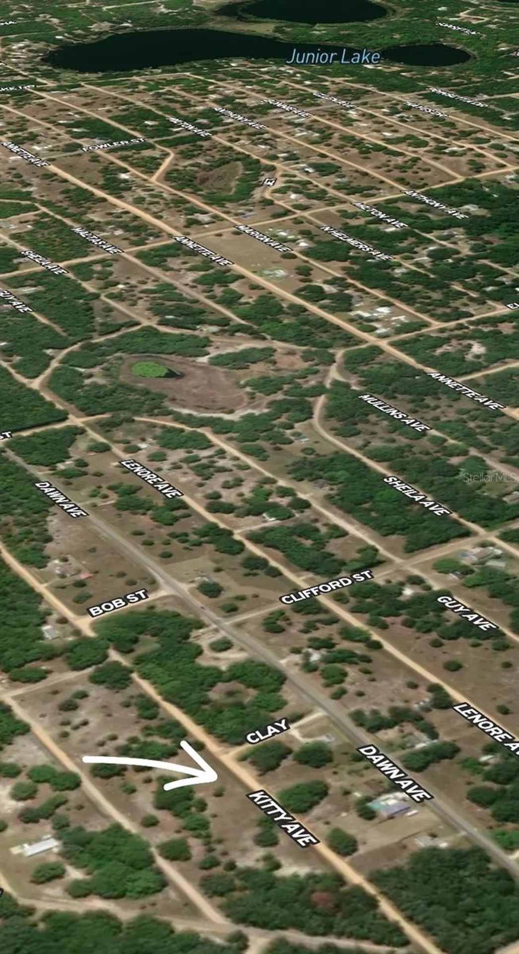 Lot 8 Kitty Avenue Interlachen FL 32148