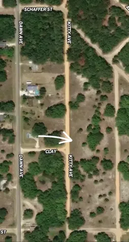 Lot 8 Kitty Avenue Interlachen FL 32148