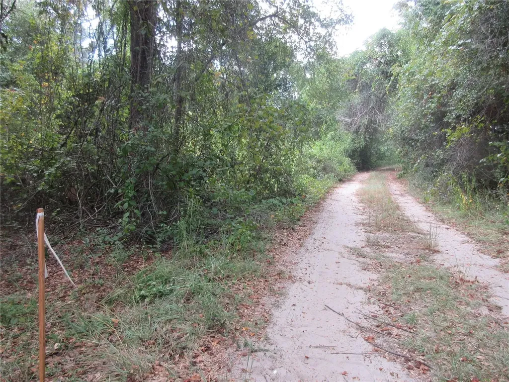 SE 1 Lane Silver Springs FL 34488