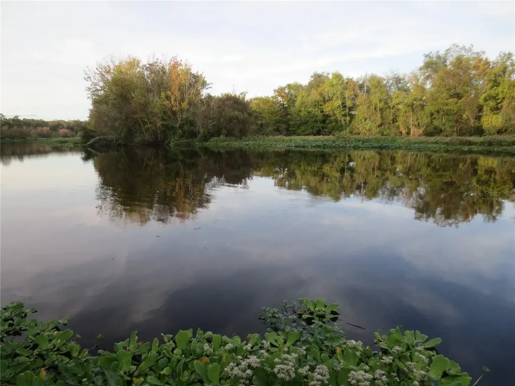 SE 1 Lane Silver Springs FL 34488
