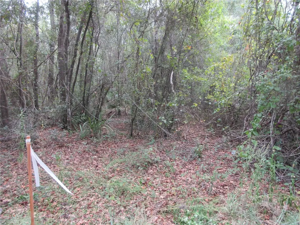SE 1 Lane Silver Springs FL 34488
