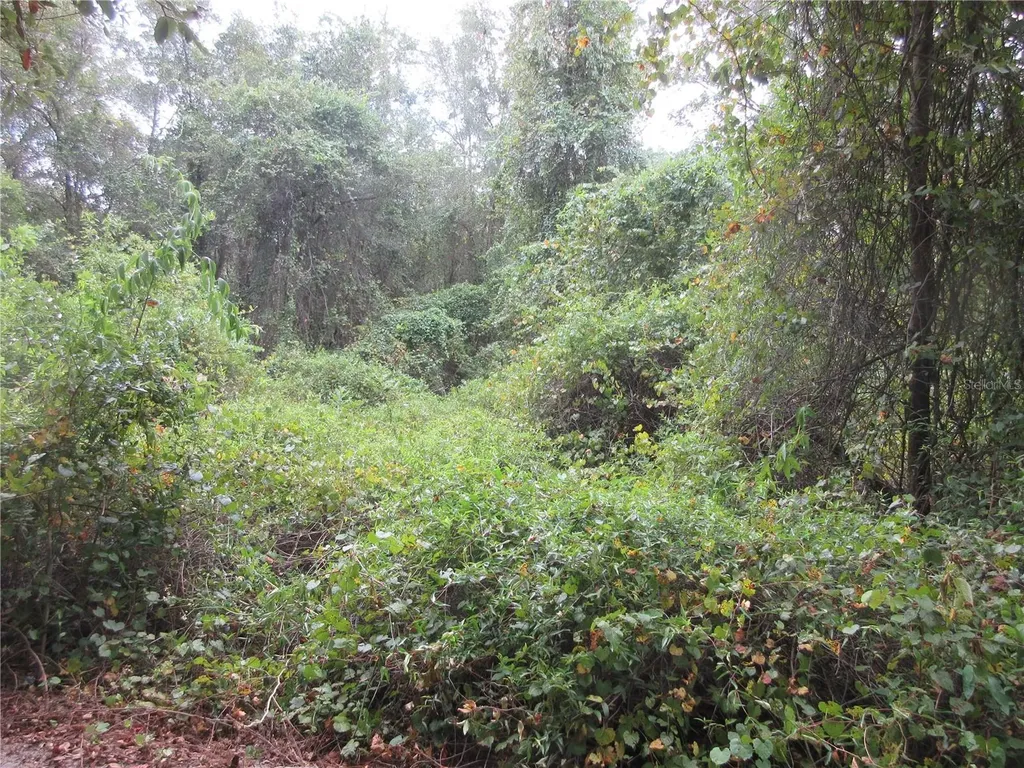 SE 1 Lane Silver Springs FL 34488