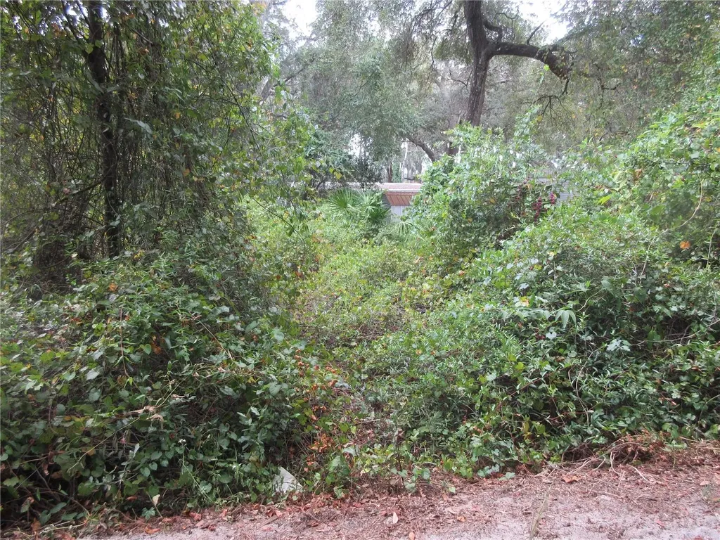 SE 1 Lane Silver Springs FL 34488