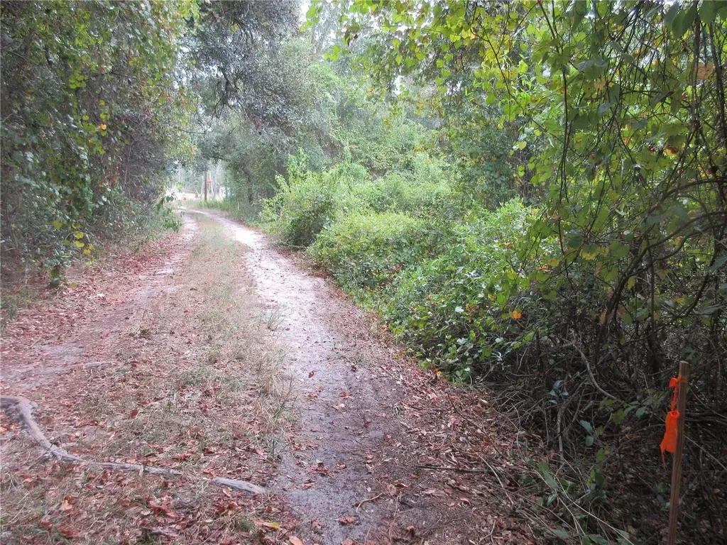 SE 1 Lane Silver Springs FL 34488