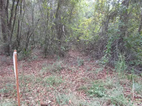 SE 1 Lane Silver Springs FL 34488