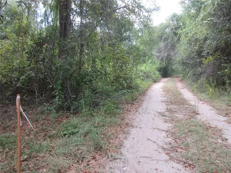 SE 1 Lane Silver Springs FL 34488
