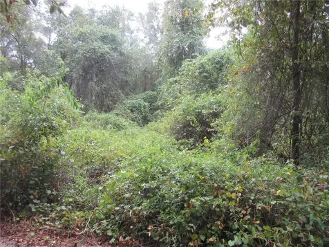 SE 1 Lane Silver Springs FL 34488