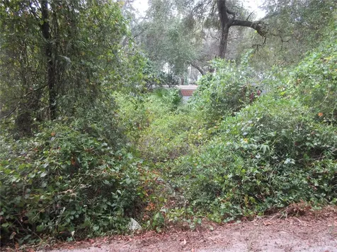 SE 1 Lane Silver Springs FL 34488