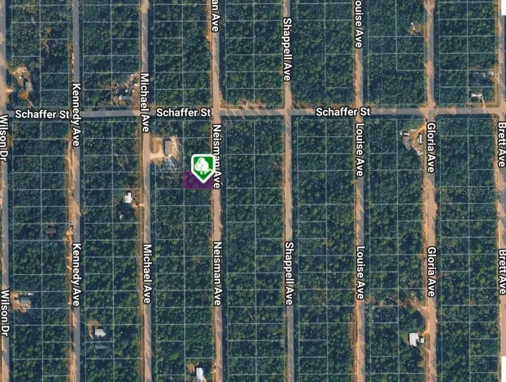 Lot 33 Neisman Avenue Interlachen FL 32148