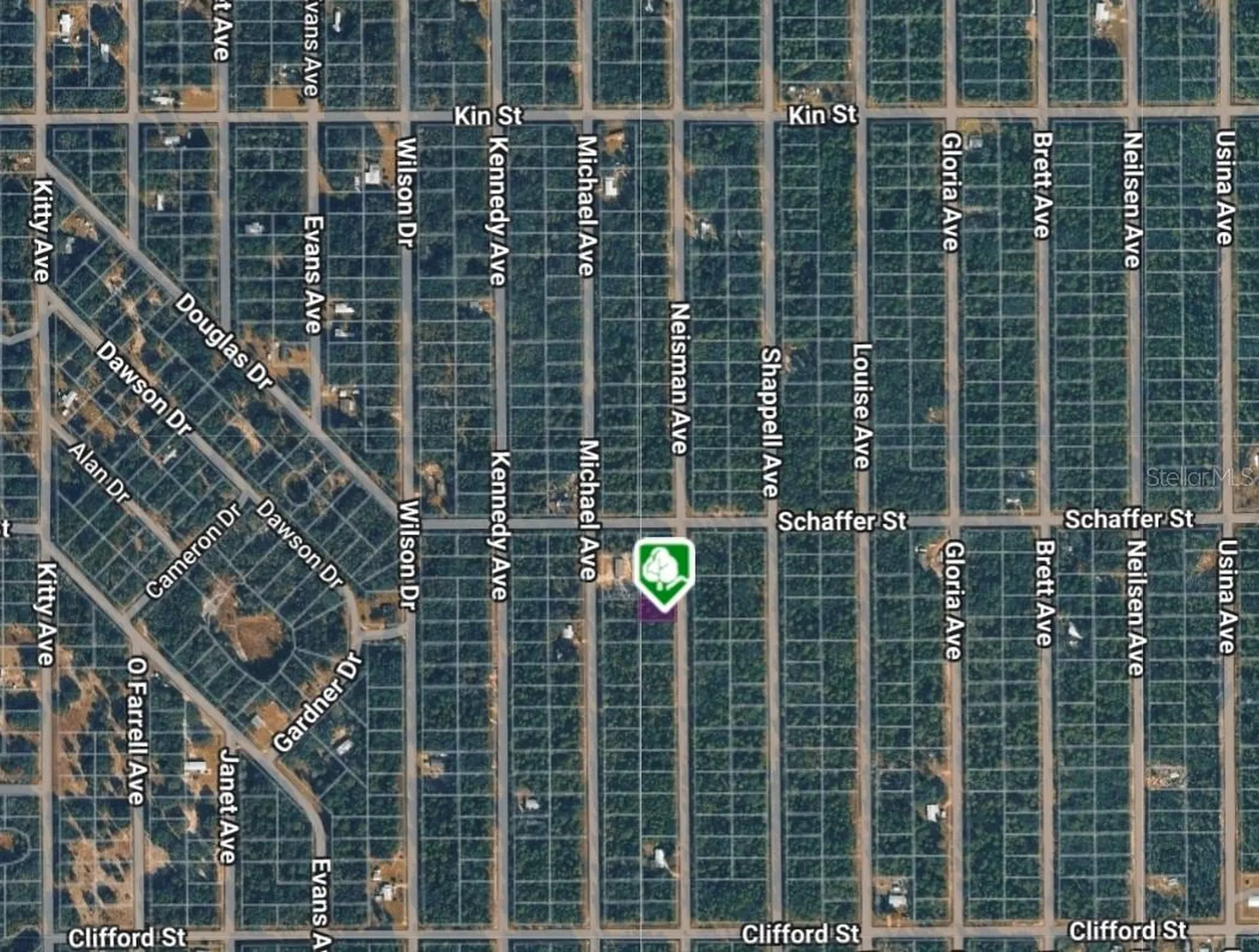 Lot 33 Neisman Avenue Interlachen FL 32148