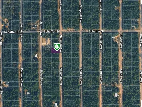Lot 33 Neisman Avenue Interlachen FL 32148