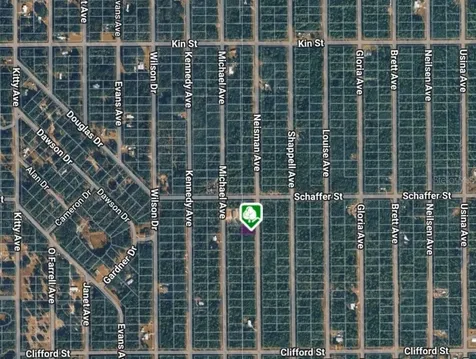 Lot 33 Neisman Avenue Interlachen FL 32148
