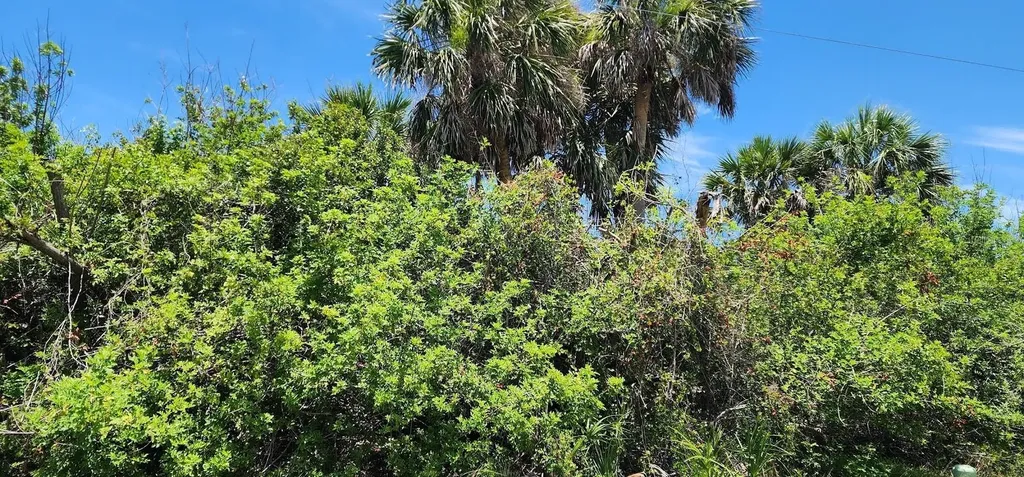 108 Bebb Court Rotonda West FL 33947