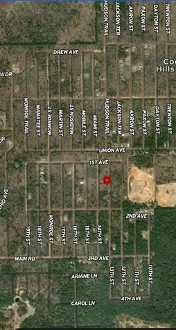 Lot 47 & 48 13th Street Interlachen FL 32148