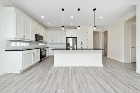 1361 Aroniminik Drive Mount Dora FL 32757