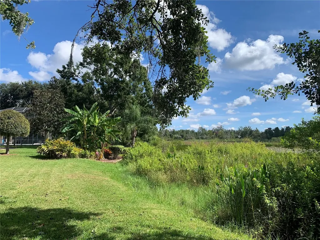 7340 Night Heron Drive Land O Lakes FL 34637