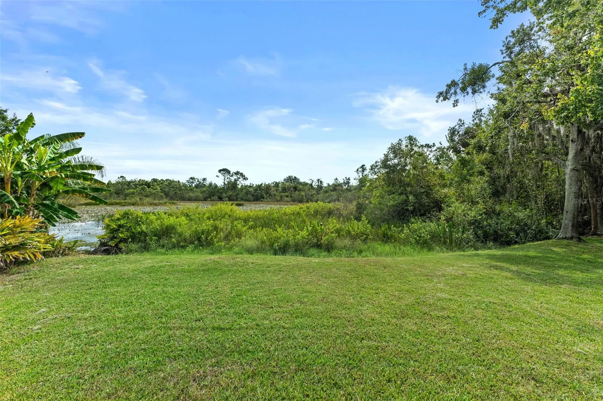 7340 Night Heron Drive Land O Lakes FL 34637