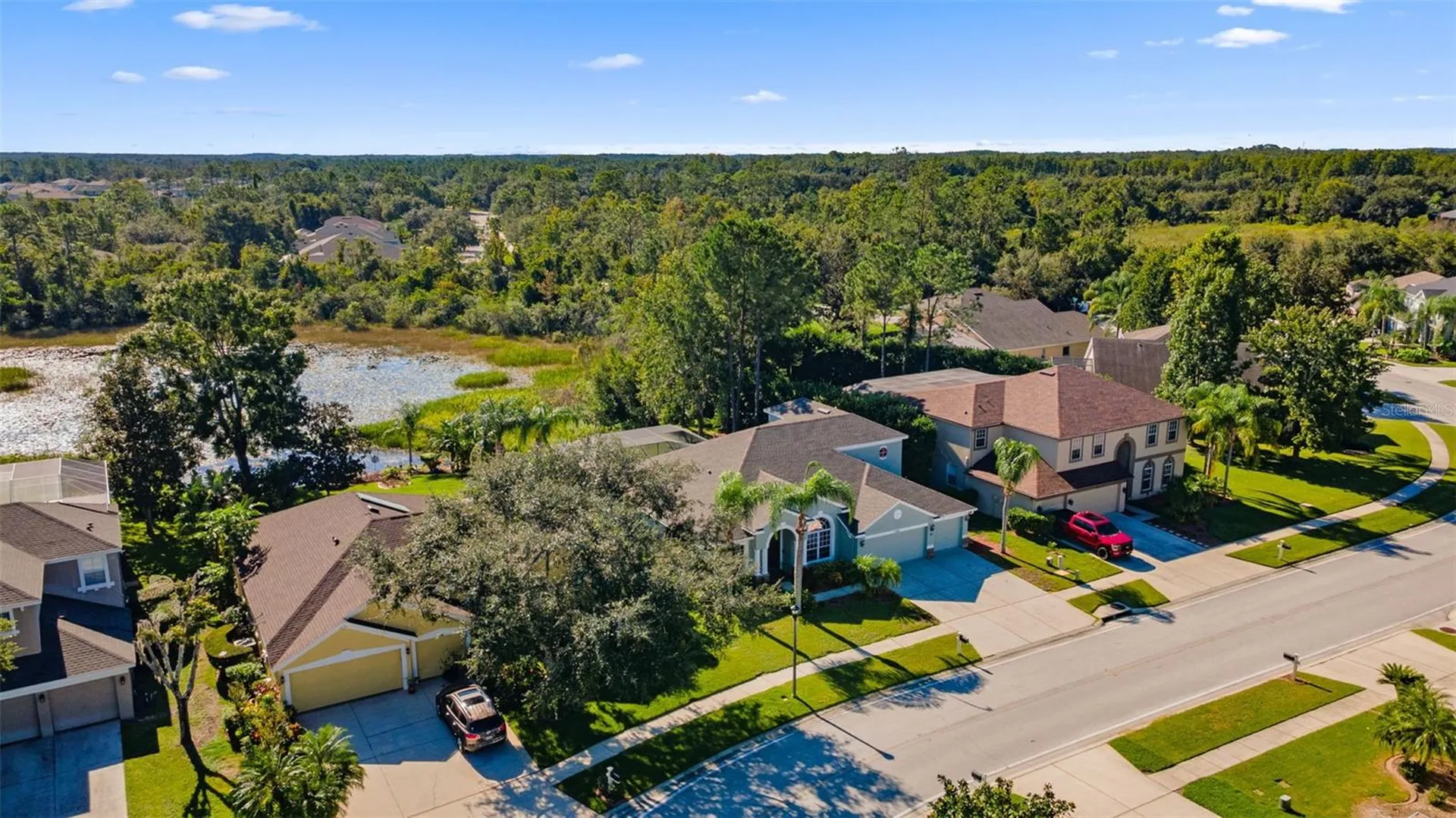 7340 Night Heron Drive Land O Lakes FL 34637