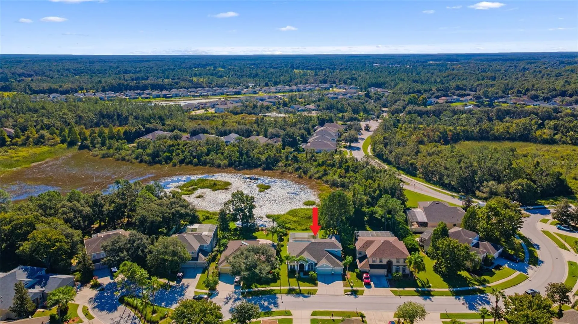 7340 Night Heron Drive Land O Lakes FL 34637