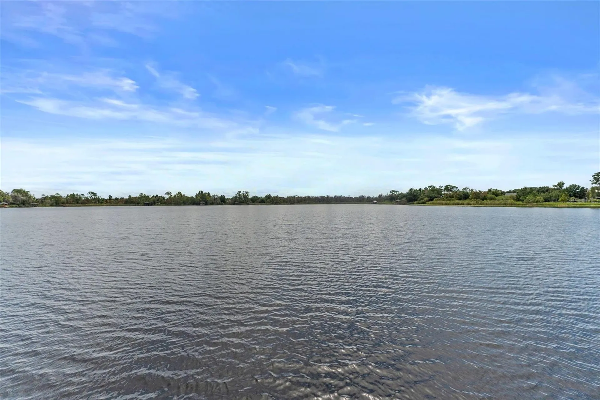 7340 Night Heron Drive Land O Lakes FL 34637