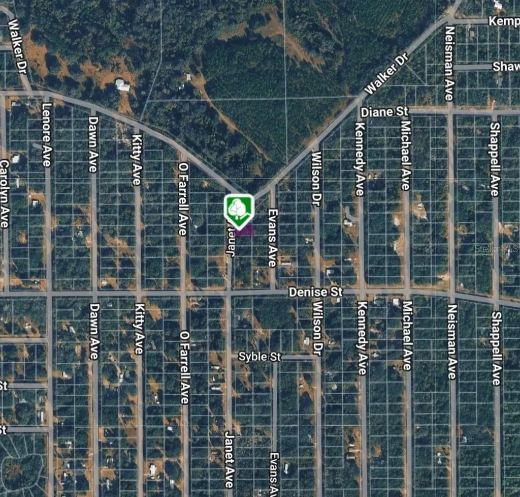 Lot 3 Janet Avenue Interlachen FL 32148