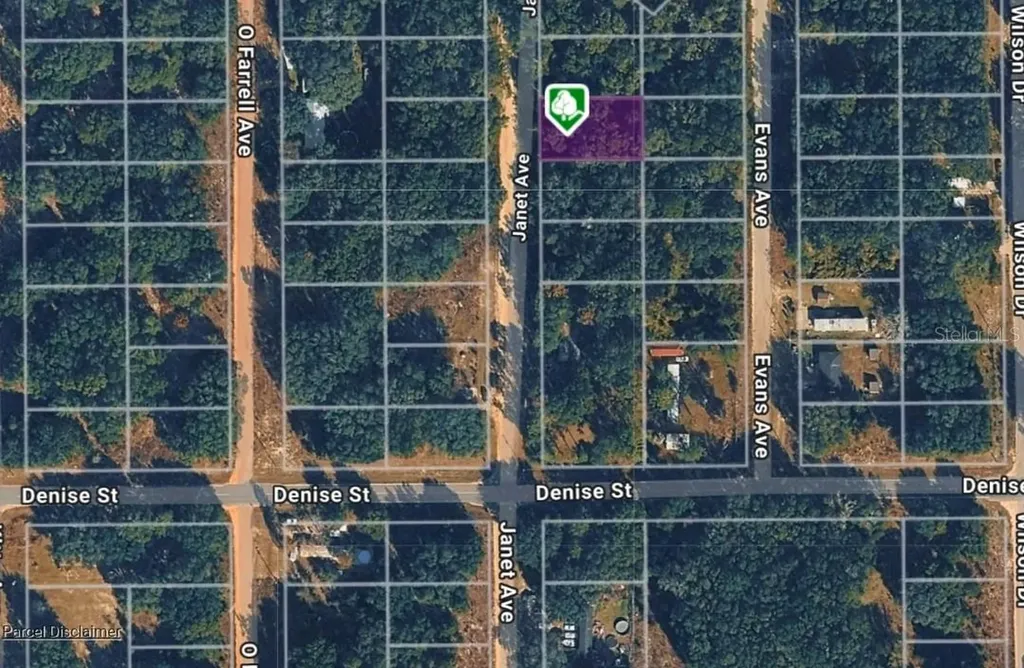 Lot 3 Janet Avenue Interlachen FL 32148
