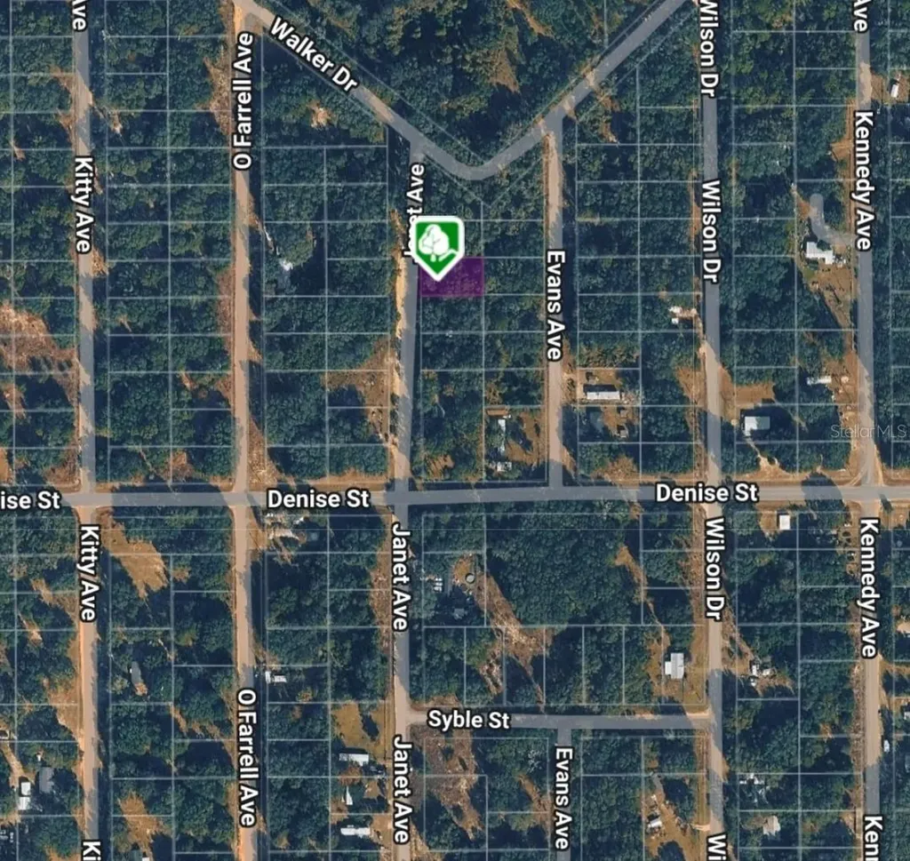 Lot 3 Janet Avenue Interlachen FL 32148