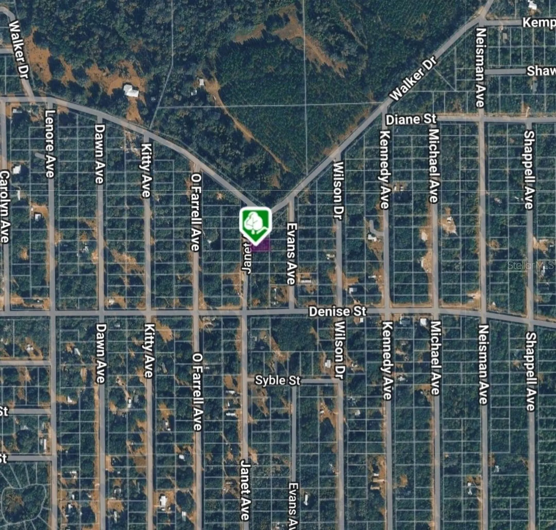 Lot 3 Janet Avenue Interlachen FL 32148
