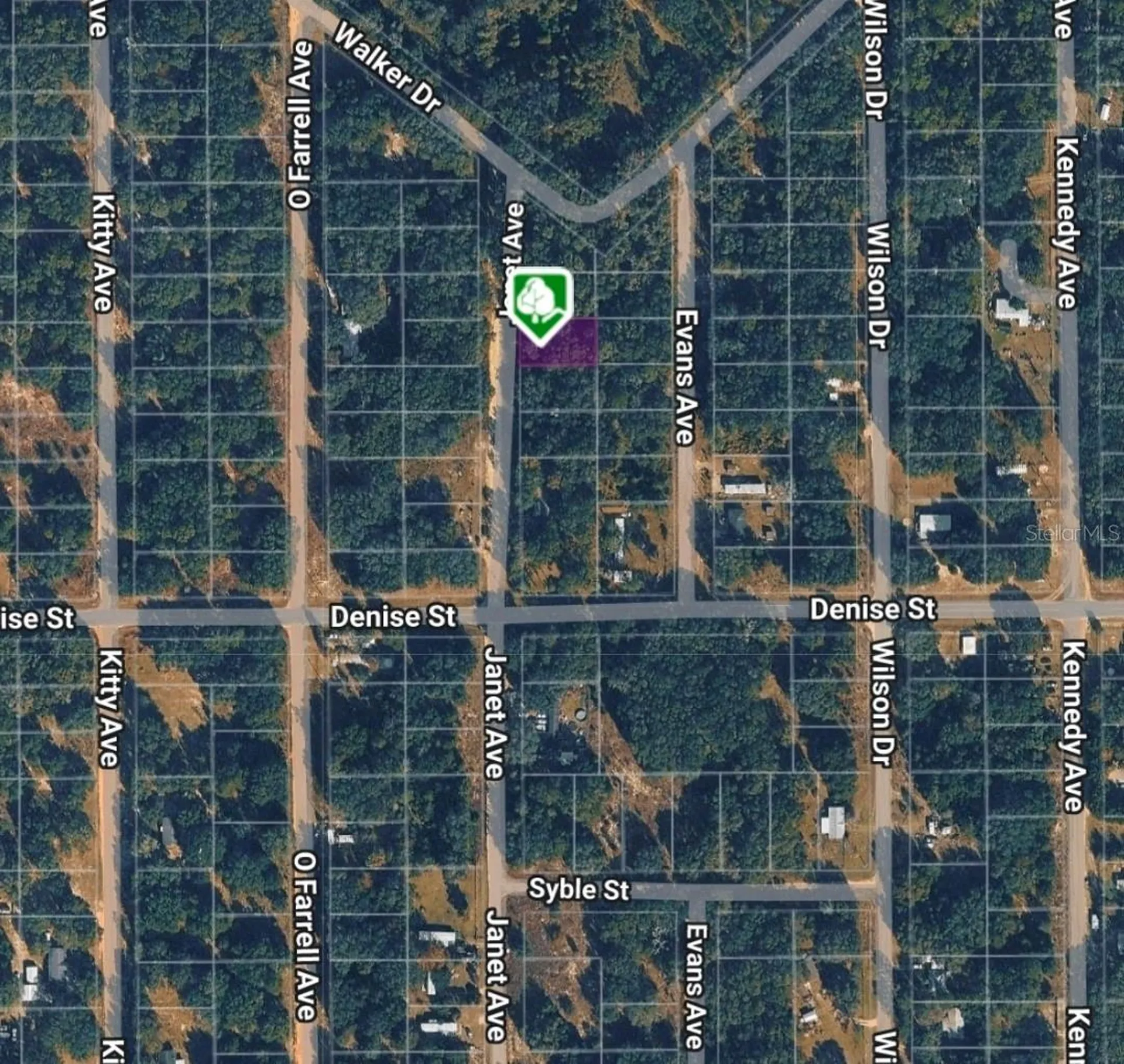 Lot 3 Janet Avenue Interlachen FL 32148
