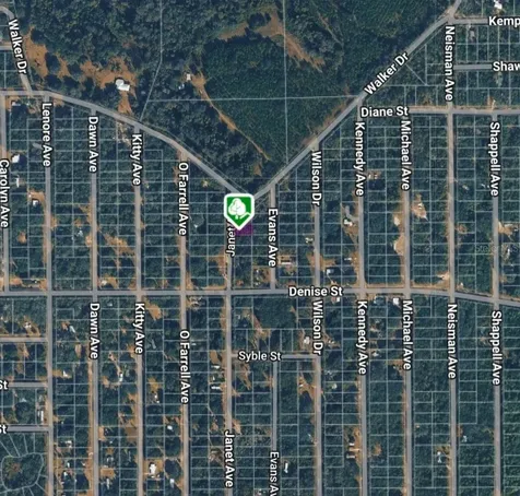 Lot 3 Janet Avenue Interlachen FL 32148