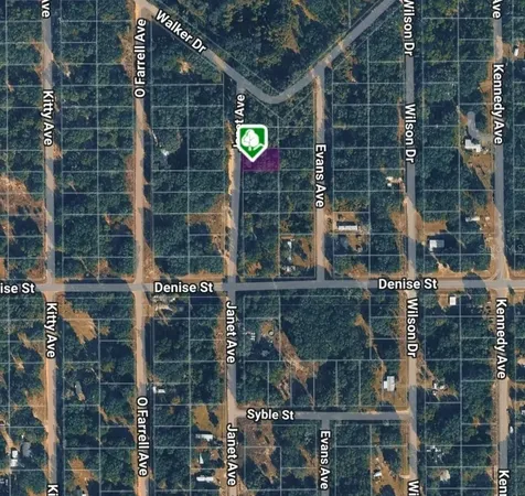 Lot 3 Janet Avenue Interlachen FL 32148