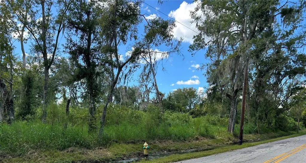 Seminole Lake Boulevard & Hickman Avenue Plant City FL 33563