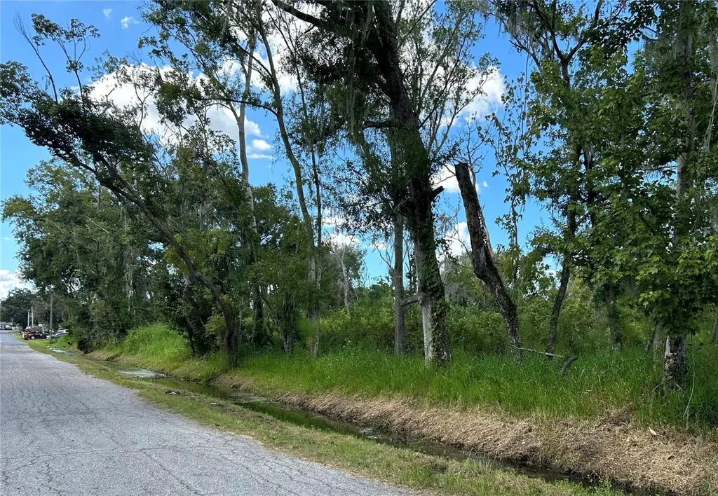Seminole Lake Boulevard & Hickman Avenue Plant City FL 33563