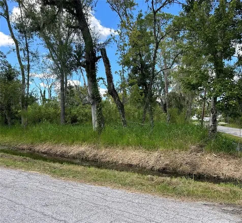 Seminole Lake Boulevard & Hickman Avenue Plant City FL 33563