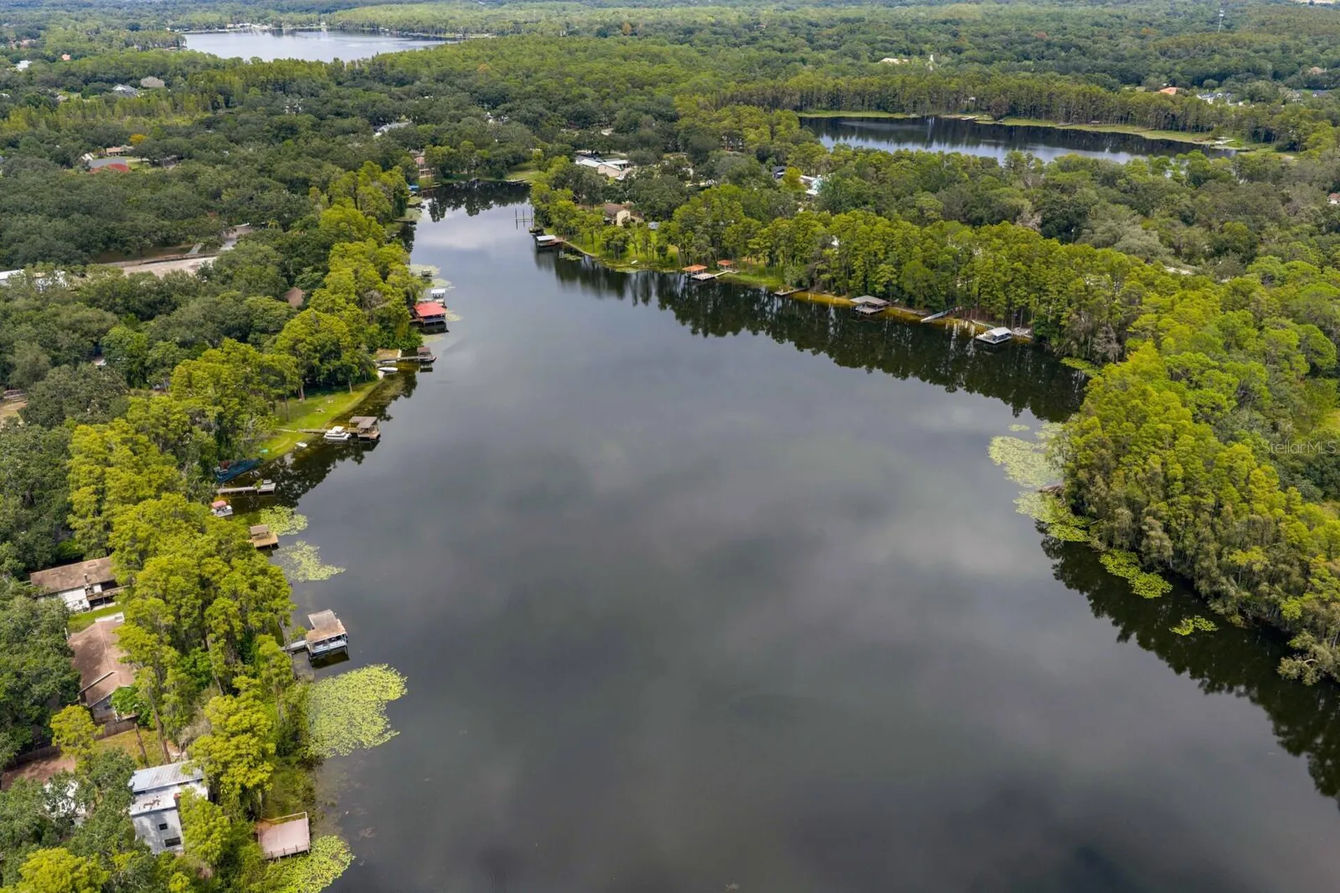 19116 Forrest Drive Odessa FL 33556