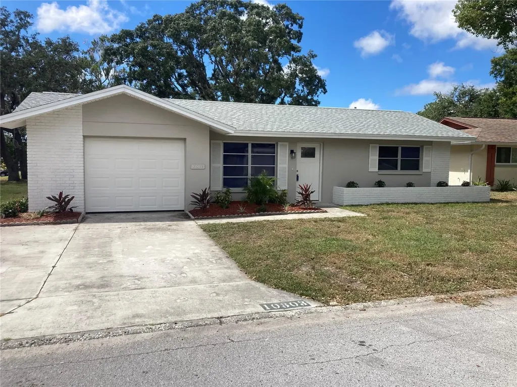 10803 Hachita Drive Port Richey FL 34668