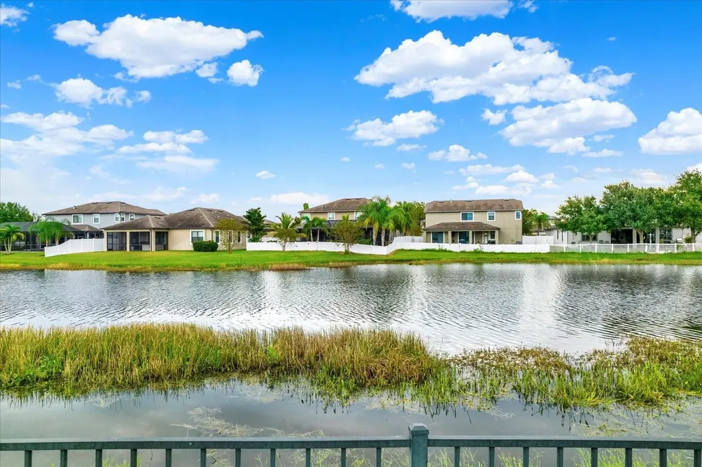 1851 Arbor Knoll Loop Trinity FL 34655