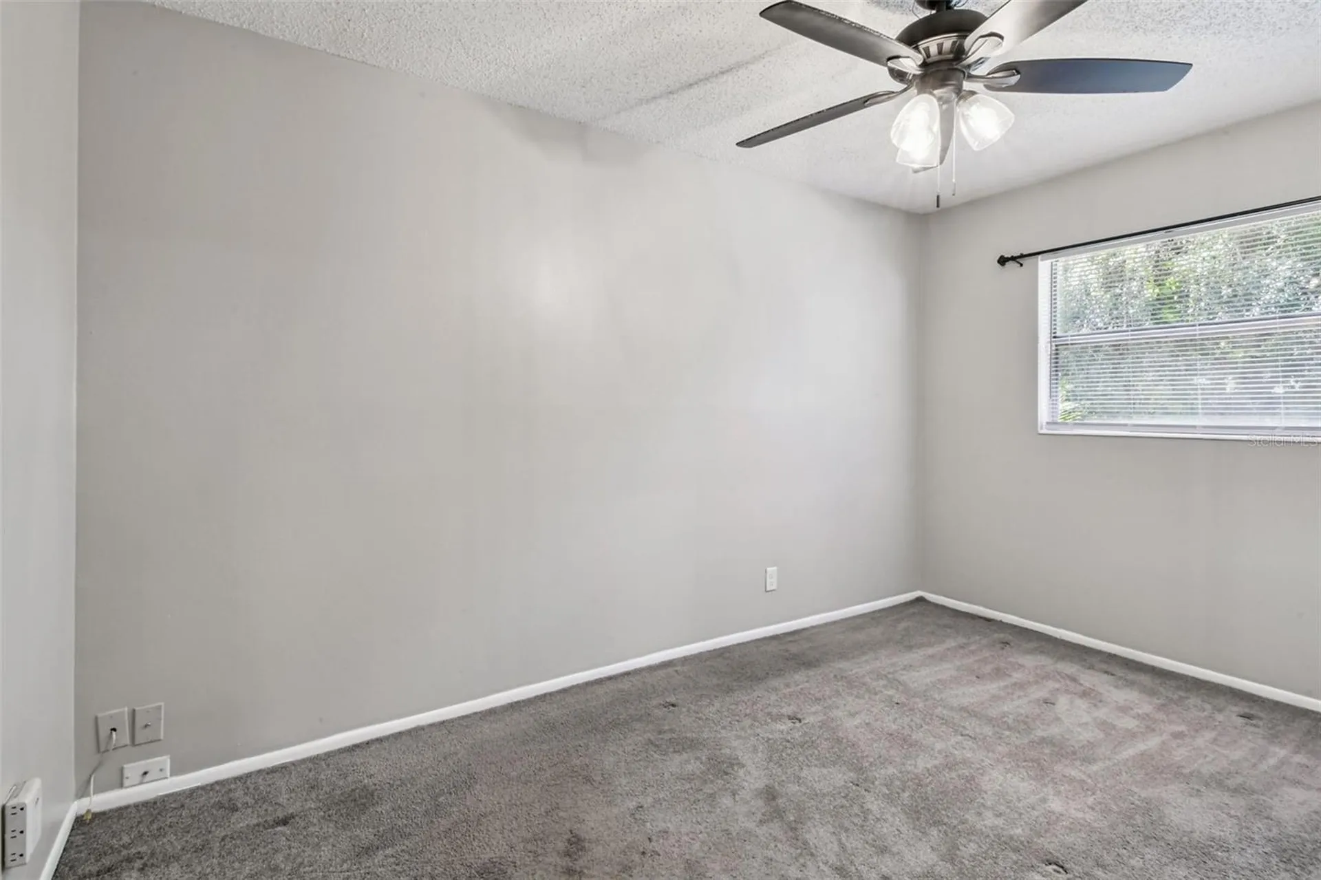 4419 Dolphin Drive Tampa FL 33617