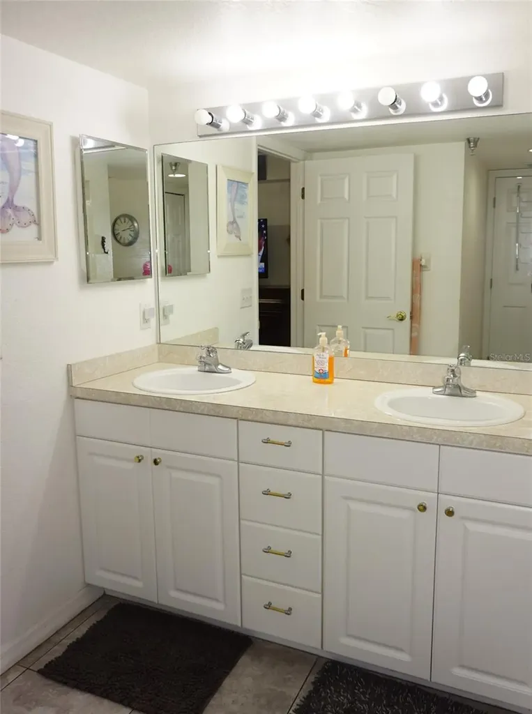 21107 Fountain View Lane Lutz FL 33558