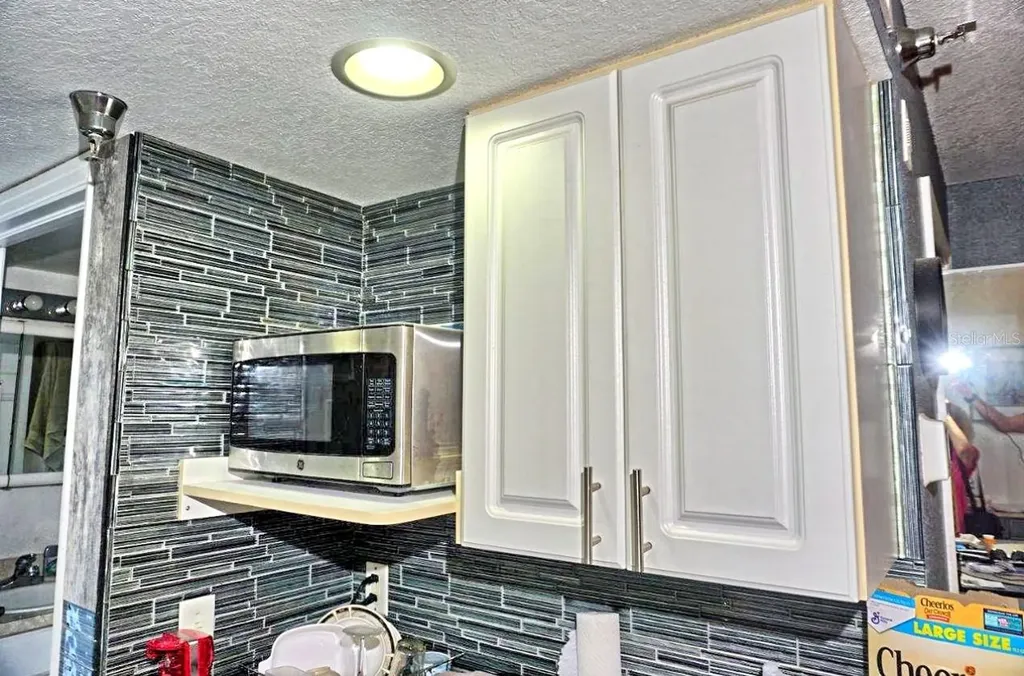 21107 Fountain View Lane Lutz FL 33558