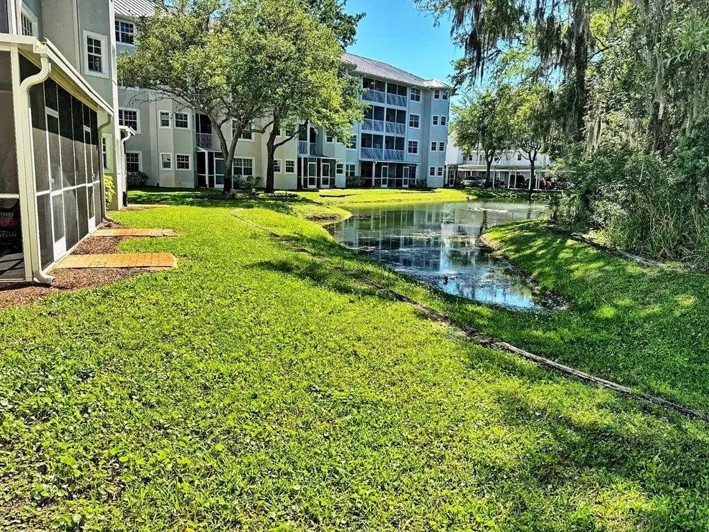 21107 Fountain View Lane Lutz FL 33558