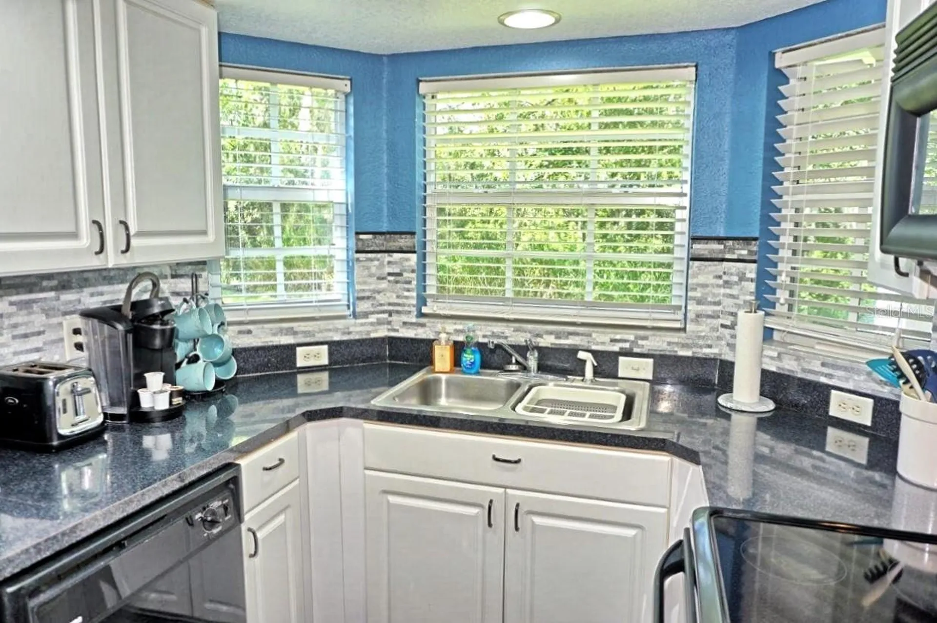 21107 Fountain View Lane Lutz FL 33558