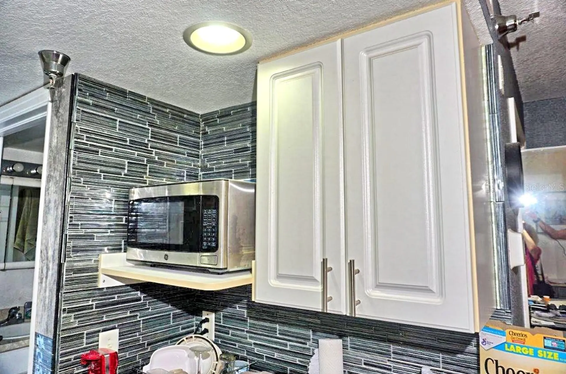 21107 Fountain View Lane Lutz FL 33558