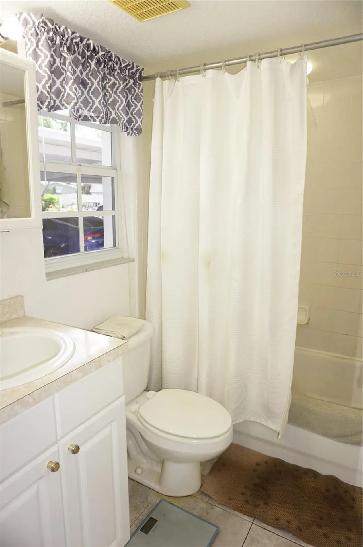 21107 Fountain View Lane Lutz FL 33558